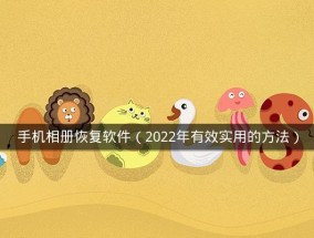 如何选择适合的照片恢复软件（比较照片恢复软件的功能和性能）