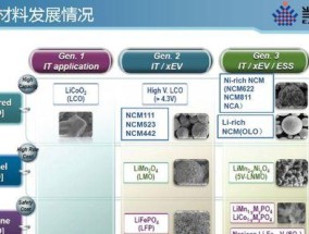 道县锂电池材料项目招标公示名单在哪里查看？如何获取？