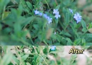 手机拍照照片暗淡如何调整？