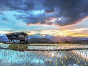 探究Win10桌面假死，鼠标能动的原因（Win10桌面假死）