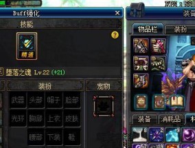 DNF复仇者装备搭配指南（打造强大的复仇者角色）