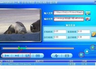 amv格式转换工具如何使用？常见问题有哪些？