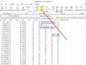 电脑上如何进行数据筛选？筛选数据教程有哪些常见问题？