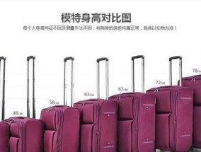 儿童互动亲子游戏如何帮助学习语言？