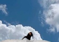 特效拍照程序怎么激活？手机打开特效拍照的步骤是什么？