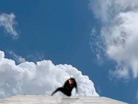 特效拍照程序怎么激活？手机打开特效拍照的步骤是什么？
