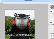 能给本地照片AI换脸的软件有哪些？如何选择合适的换脸软件？