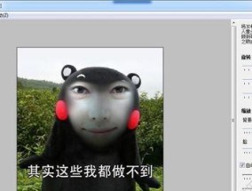 能给本地照片AI换脸的软件有哪些？如何选择合适的换脸软件？