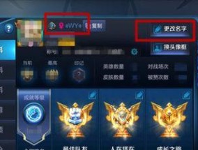 王者荣耀中如何开启允许粘贴功能？