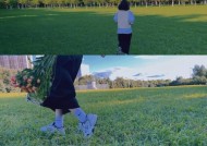 草原上如何拍出好的拍照和视频？