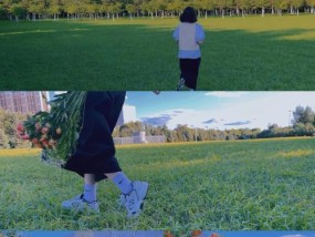 草原上如何拍出好的拍照和视频？