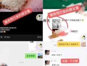 机顶盒license授权如何开启？开启过程中可能会遇到哪些问题？