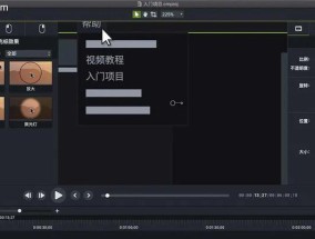 屏幕视频录制技巧大揭秘（轻松掌握屏幕视频录制）