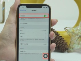 苹果平板截屏方法大全（轻松掌握苹果平板截图技巧）