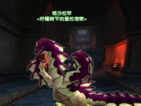 魔兽世界猎人抓宝宝等级限制的影响及策略解析