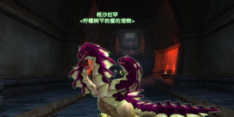 魔兽世界猎人抓宝宝等级限制的影响及策略解析  第1张