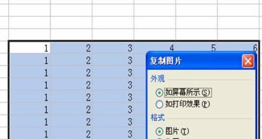 Excel常用技巧大全（提升工作效率的必备秘籍）  第3张