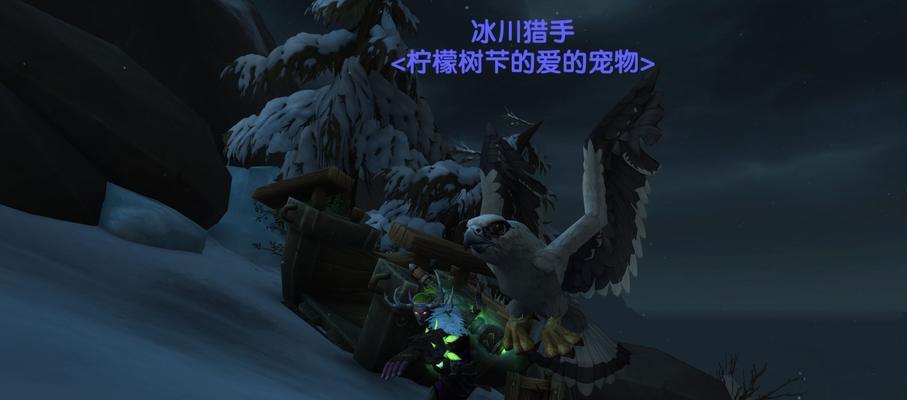 怀旧服猎人几级抓宠物攻略  第1张