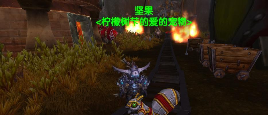 怀旧服猎人几级抓宠物攻略  第2张