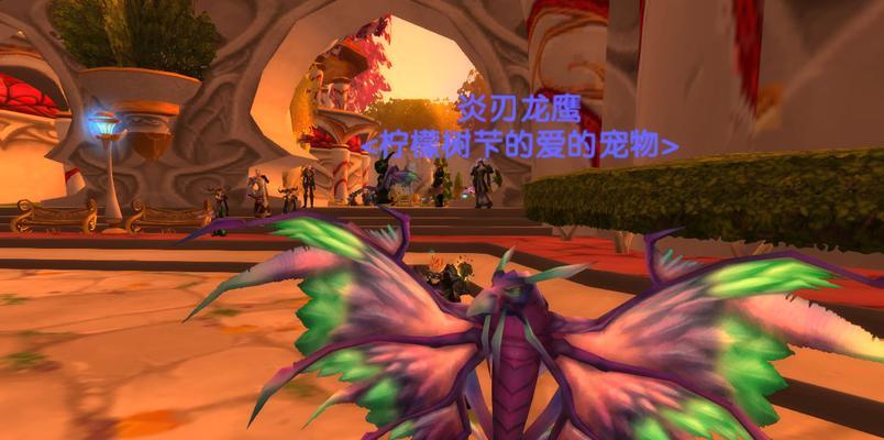 怀旧服猎人几级抓宠物攻略  第3张