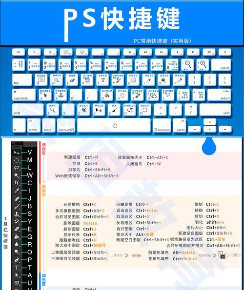 掌握Photoshop中连续撤销的快捷键（提高工作效率）  第2张
