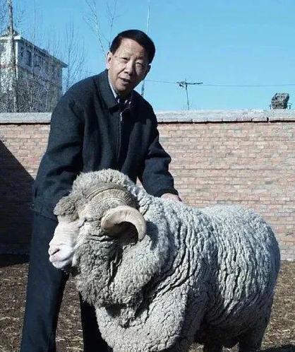老师臭老九，探寻背后的原因（揭开"老师臭老九"之谜）  第2张