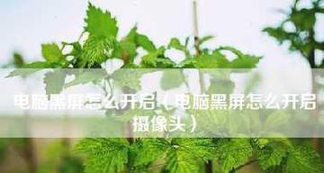 家用台式电脑摄像头怎么安装？安装步骤有哪些常见问题？  第3张