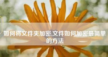 文件夹加密最简单的方法是什么？如何快速保护个人隐私？  第2张