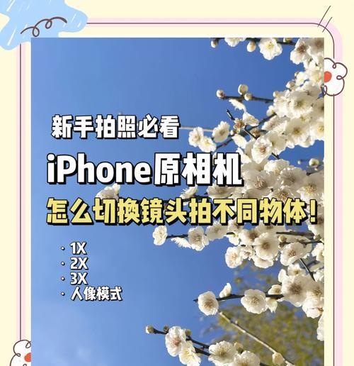 苹果手机拍照效果不佳如何调整？  第3张