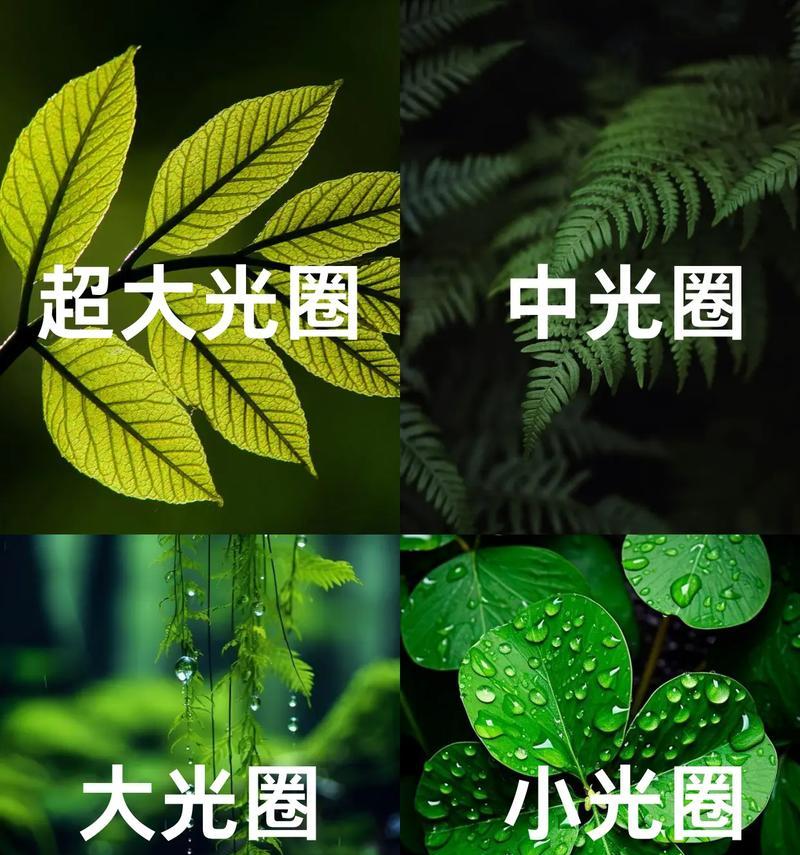 手机拍照时如何调整光圈大小？  第2张