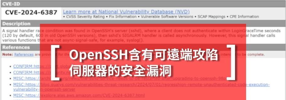 服务器如何检查漏洞信息？有哪些工具可以使用？  第2张
