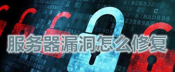 服务器如何检查漏洞信息？有哪些工具可以使用？  第3张