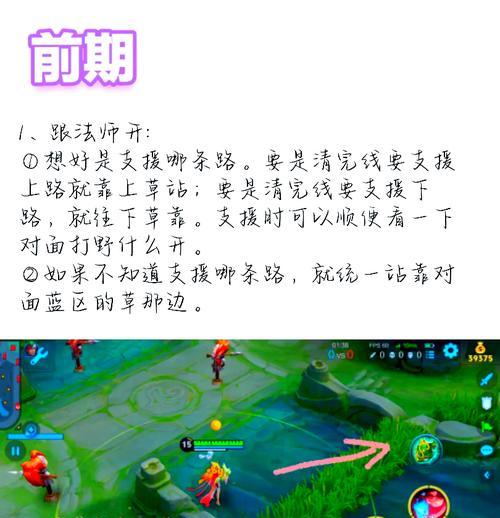 王者荣耀新手如何玩好辅助角色？  第2张