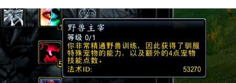 魔兽世界60级宠物获取方法是什么？  第3张