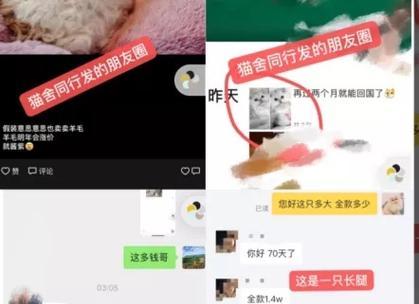 舔狗id头衔在英雄联盟中的含义是什么？如何获得？  第2张