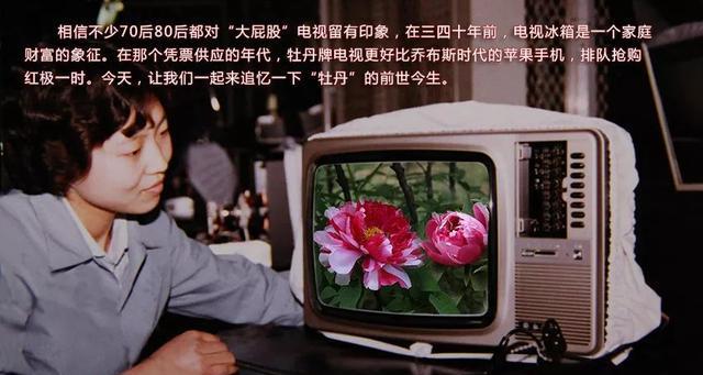 CF气锤满弹的价格是多少？购买气锤满弹需要注意什么？  第2张