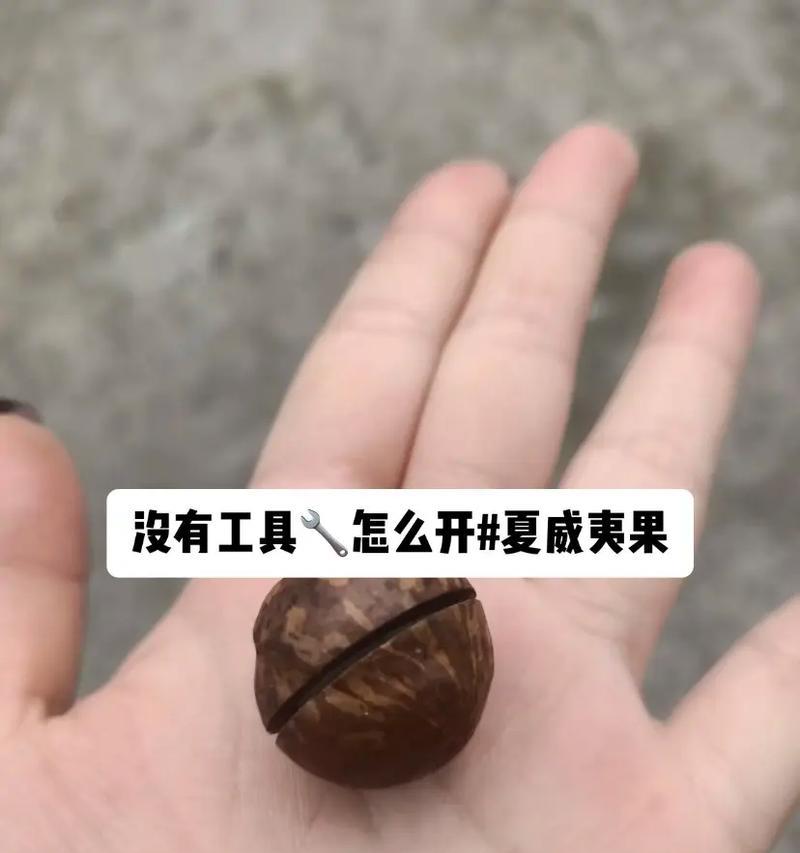 Switch帕利亚使用工具的方法是什么？需要哪些工具？  第2张